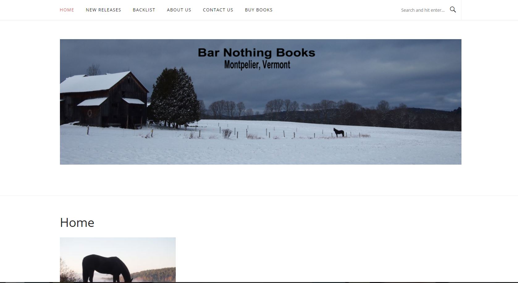 Barnothing Books Website Preview